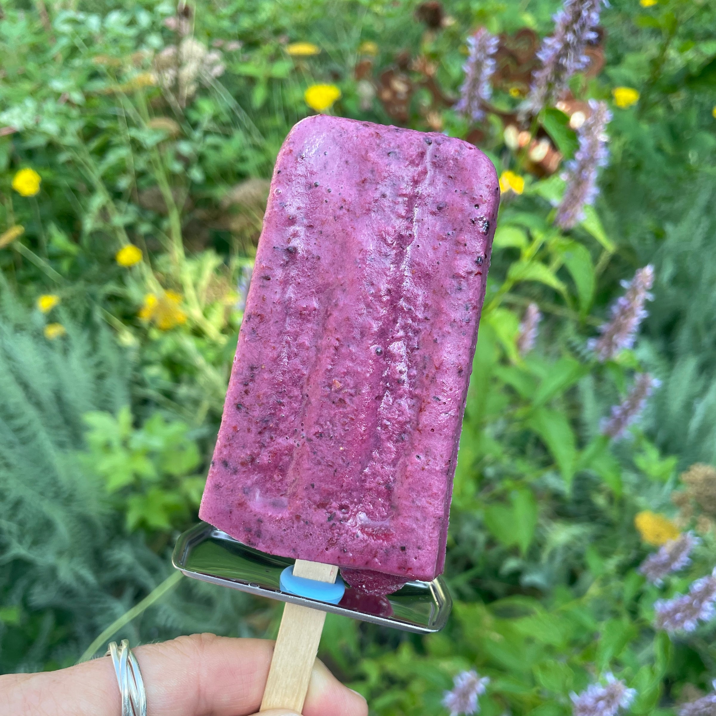 Onyx Ice Pop Mold- Paddle and Rocket Styles | sustainable haus